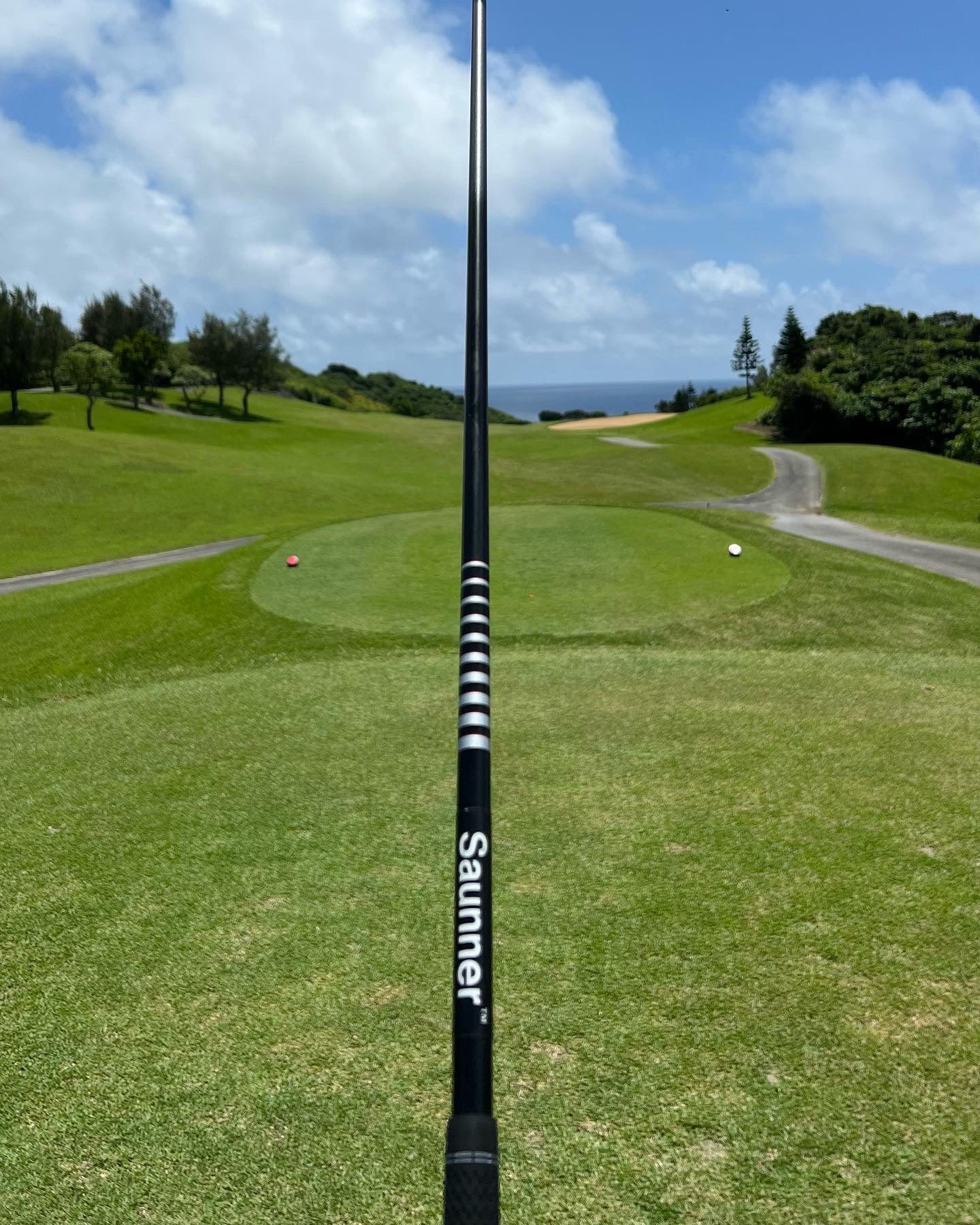 Saunner™️ Golf Club Shaft Sticker